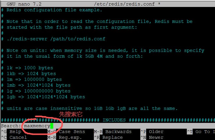 wordpress-tutorial-06-search-maxmemory-in-redis-config