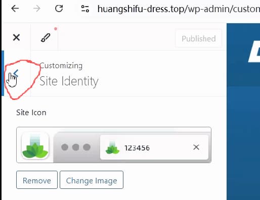 wordpress-tutorial-08-back-from-site-identity-settings