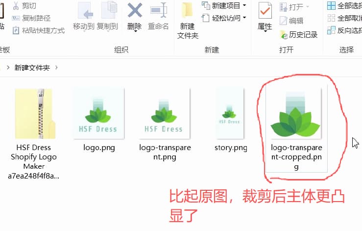 wordpress-tutorial-08-cropped-favicon-preview