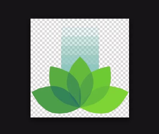 wordpress-tutorial-08-cropped-favicon