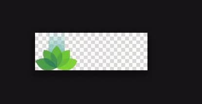 wordpress-tutorial-08-cropped-logo-part-1