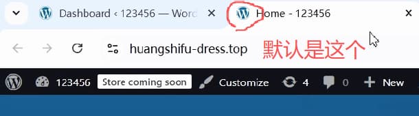 wordpress-tutorial-08-default-favicon