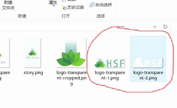 wordpress-tutorial-08-downloaded-2-sets-of-logos