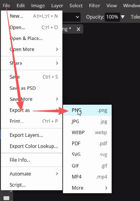 wordpress-tutorial-08-export-white-logo