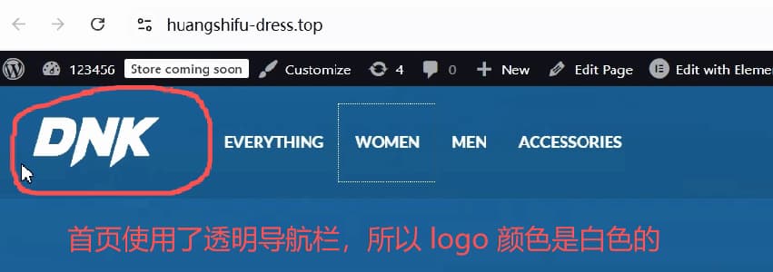 wordpress-tutorial-08-white-logo-in-transparent-header
