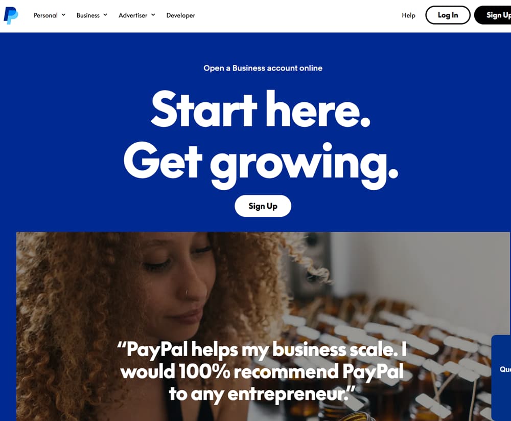 wordpress-tutorial-13-paypal-business-account-preview