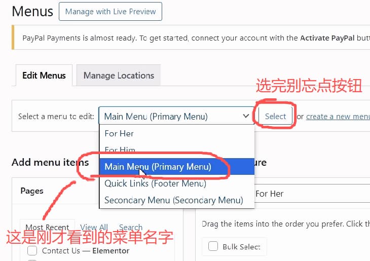 wordpress-tutorial-13-select-main-menu