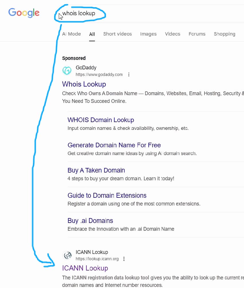 wordpress-tutorial-21-domain-checker-entry