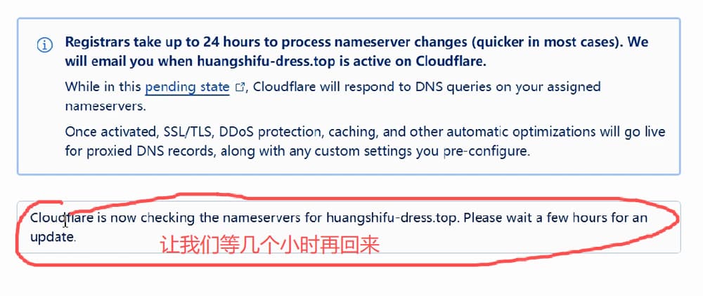 wordpress-tutorial-21-feedback-of-check-ns-server-now