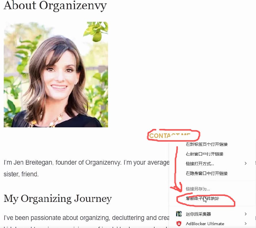 wordpress-tutorial-41-contact-info-on-about-page