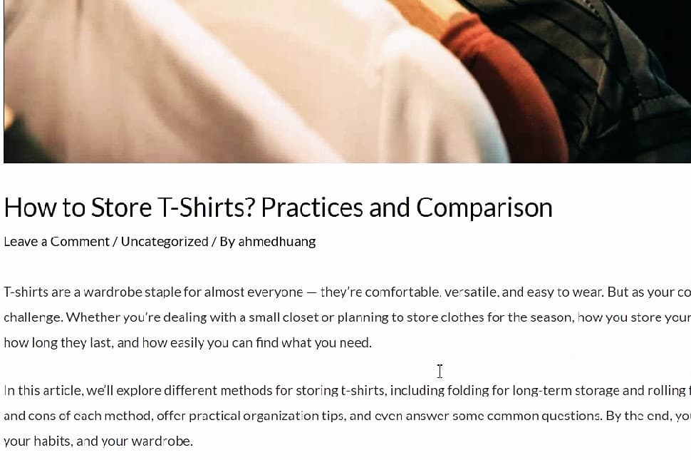 wordpress-tutorial-41-example-blog-article