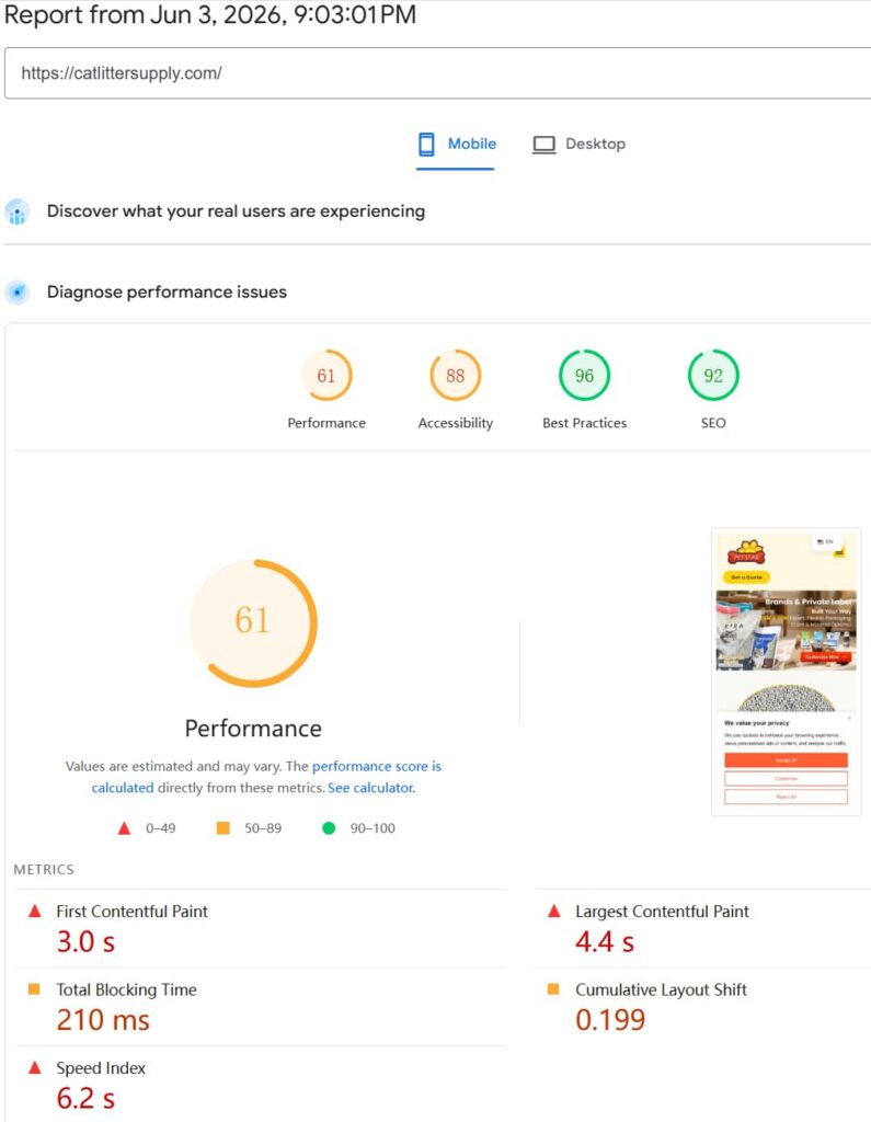 catlittersupply.com-google-speed-insights-metrics