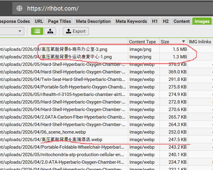rlhbot.com-oversized-images