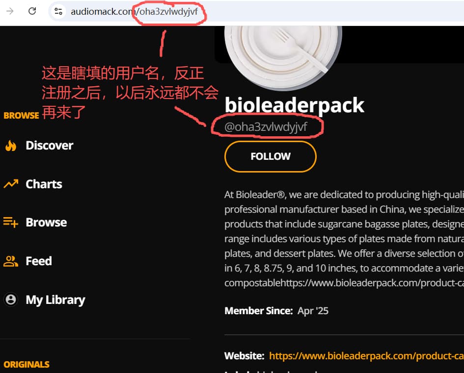 bioleaderpack.com-audiomack-link-example