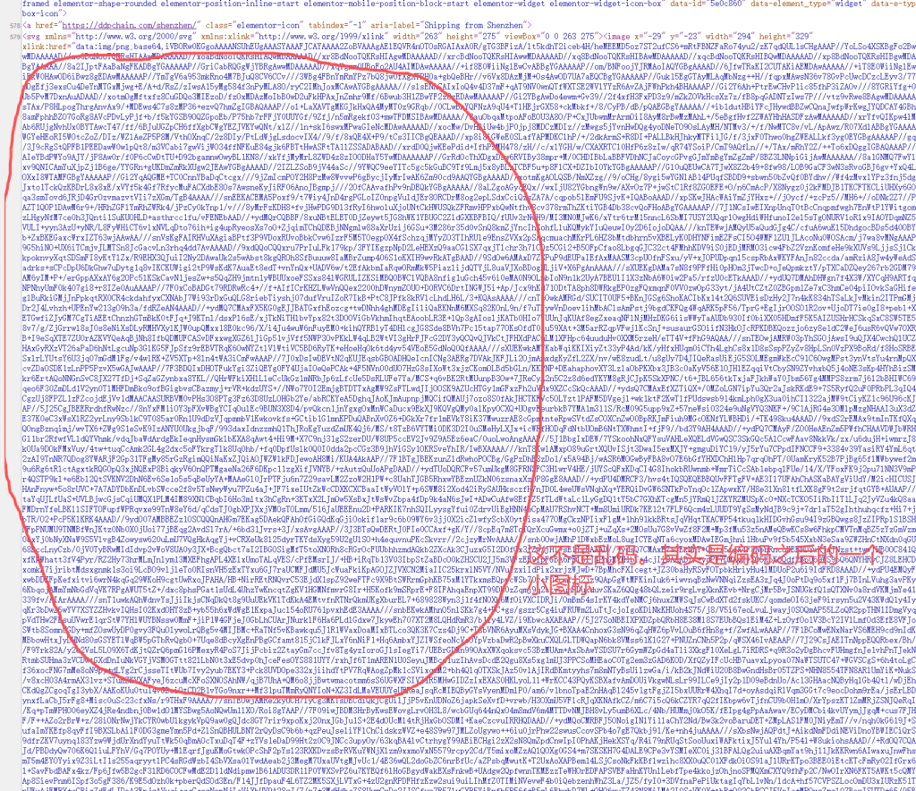 ddpchain.com-svg-code-problem